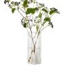 Home Arket Ljus | Irregular Glass Vase 25 Cm